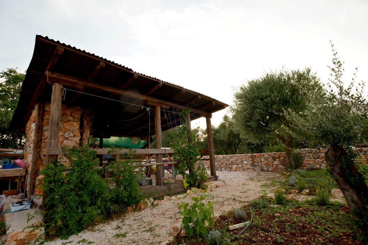 Luxury apartments Boduja Sukošan Extérieur photo